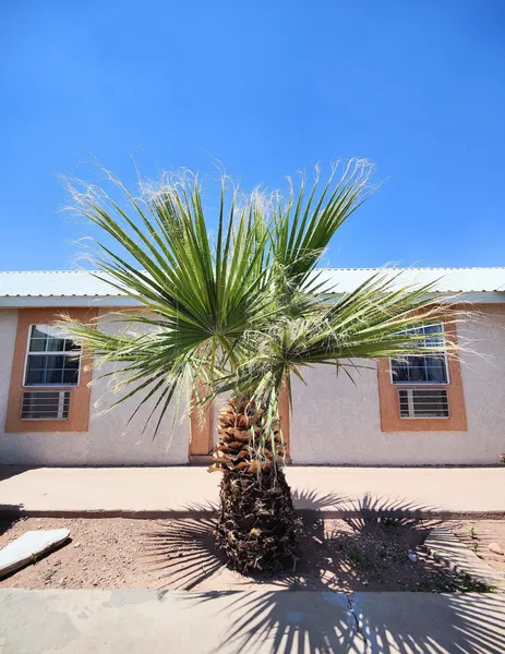 Desert Inn hotel detail image 6