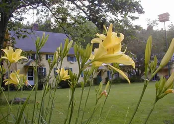 Fiddler's Green Inn hotel thumbnail 3