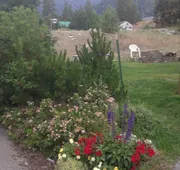Alpine Rivers Inn hotel detail image 5
