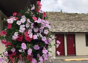Country West Motel hotel thumbnail 4