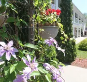 Saga Resort hotel detail image 4
