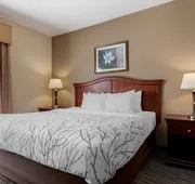 Best Western Plus Sweetwater Inn & Suites hotel detail image 7