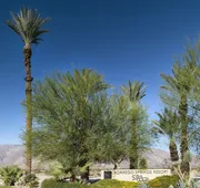 Borrego Springs Resort & Spa hotel detail image 3