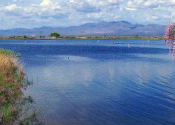 Baymont by Wyndham Safford hotel thumbnail 3