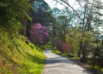 The Terrace at Lake Junaluska hotel thumbnail 5