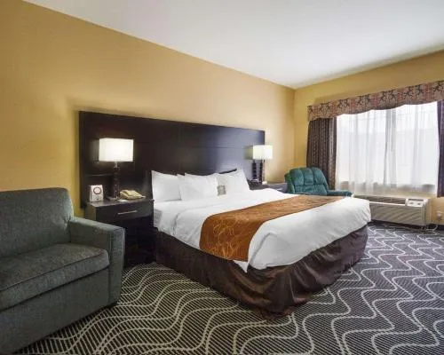 Comfort Suites Lake Ray Hubbard hotel detail image 6