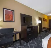 Comfort Suites Lake Ray Hubbard hotel detail image 7