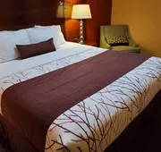 Olympic Inn & Suites hotel detail image 5