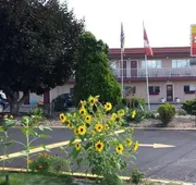 Swiss Sunset Inn hotel detail image 7
