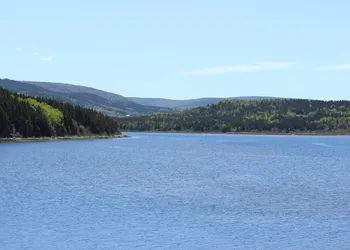 Duck Cove Inn hotel thumbnail 6
