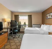 Comfort Inn Pickering hotel detail image 3