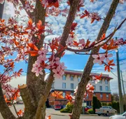 James Bay Inn Hotel & Suites hotel detail image 7