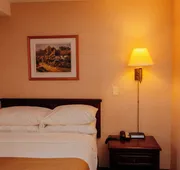 The Guv’nor hotel detail image 7