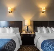 Comfort Inn & Suites hotel detail image 7