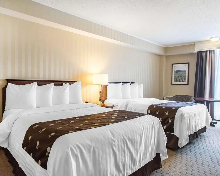 Quality Inn & Suites Downtown hotel detail image 6