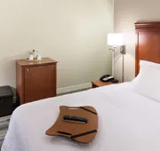 Hampton Inn & Suites Davenport hotel detail image 4