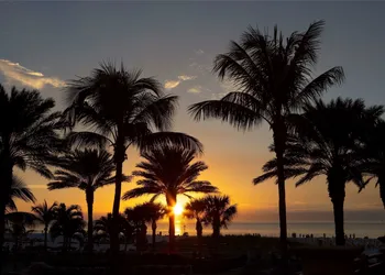 Sandpearl Resort hotel thumbnail 7