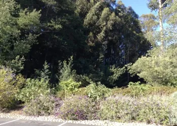 Inn At Pasatiempo hotel thumbnail 5