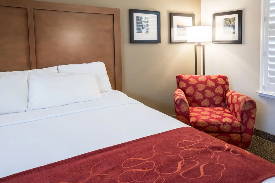 Comfort Suites Fresno River Park hotel detail image 6