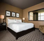 Hotel Zaza Houston Museum District hotel detail image 4