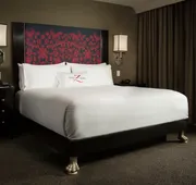 Hotel Zaza Houston Museum District hotel detail image 5