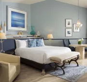 Hotel Zaza Houston Museum District hotel detail image 7