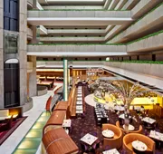 Hyatt Regency O'Hare Chicago hotel detail image 7