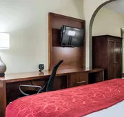 Comfort Suites University - Research Park hotel detail image 5