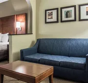 Comfort Suites University - Research Park hotel detail image 7