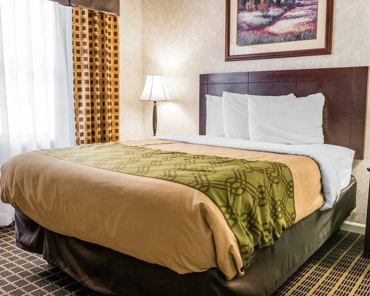 Econo Lodge & Suites Grand Rapids Airport hotel detail image 6