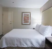 Homewood Suites by Hilton Atlanta-Peachtree hotel detail image 3