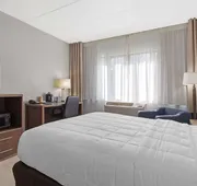 Clarion Hotel & Suites BWI Airport North hotel detail image 7