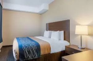 Comfort Inn & Suites hotel detail image 2