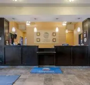 Comfort Inn & Suites hotel detail image 4