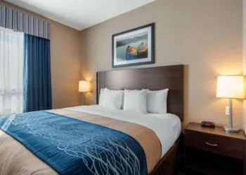 Comfort Inn & Suites hotel thumbnail 4
