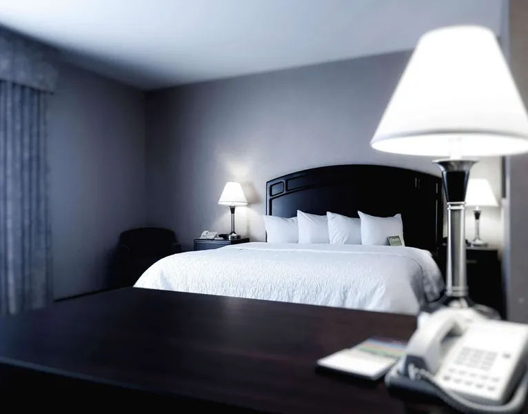 Hampton Inn & Suites by Hilton Edmonton Intl Airport hotel detail image 6