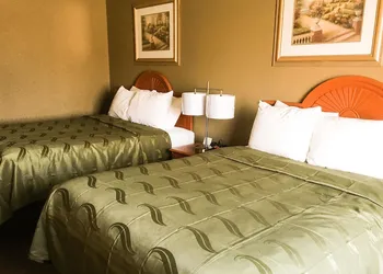 Quality Inn & Suites Lincoln near I-55 hotel thumbnail 2