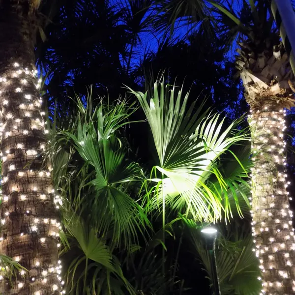 The Caribbean Court Boutique Hotel hotel detail image 2