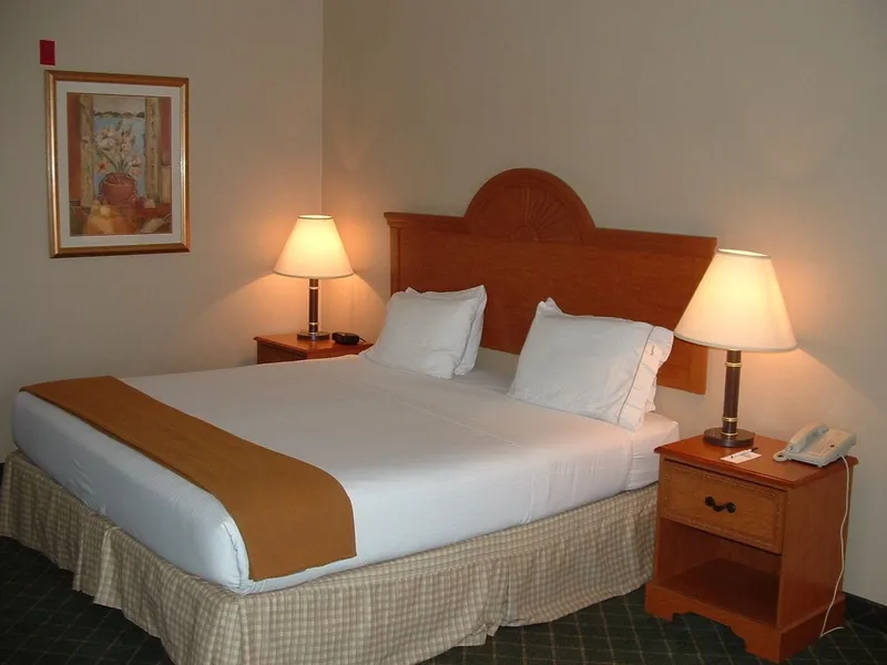 Holiday Inn Express Hotel & Suites Sylacauga by IHG hotel detail image 6