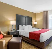 Comfort Inn & Suites Ponca City near Marland Mansion hotel detail image 7