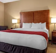 Comfort Inn Dfw Airport North hotel detail image 4