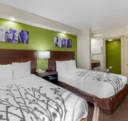 Sleep Inn near Busch Gardens/USF hotel detail image 7
