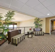 Best Western Plus Cutting Horse Inn & Suites hotel detail image 4