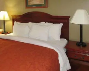 Rodeway Inn Walterboro I-95 hotel detail image 2
