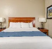 Best Western Timpanogos Inn hotel detail image 5