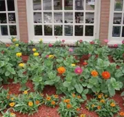 Chateau Hotel and Conference Center hotel detail image 4