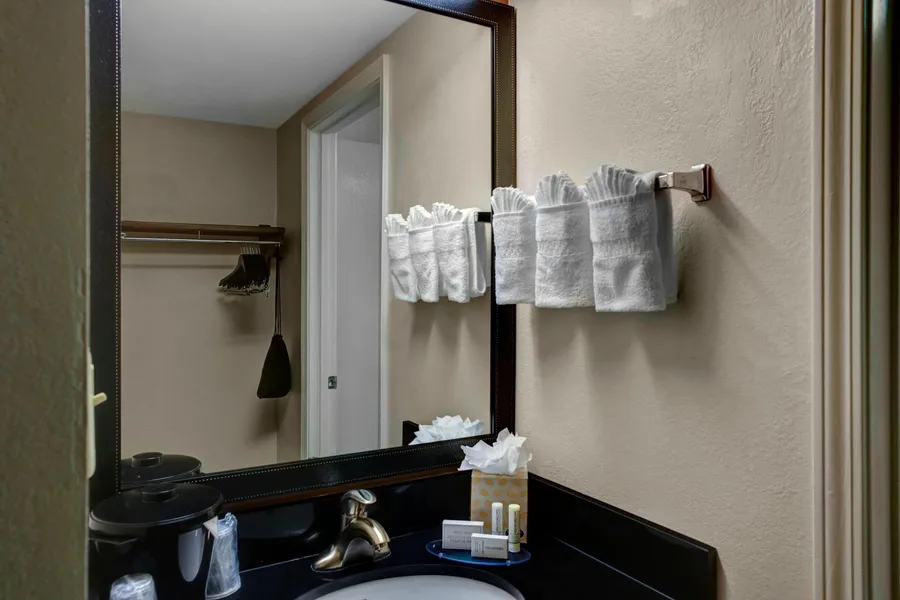 Fairfield Inn & Suites by Marriott Atlanta Alpharetta hotel detail image 6