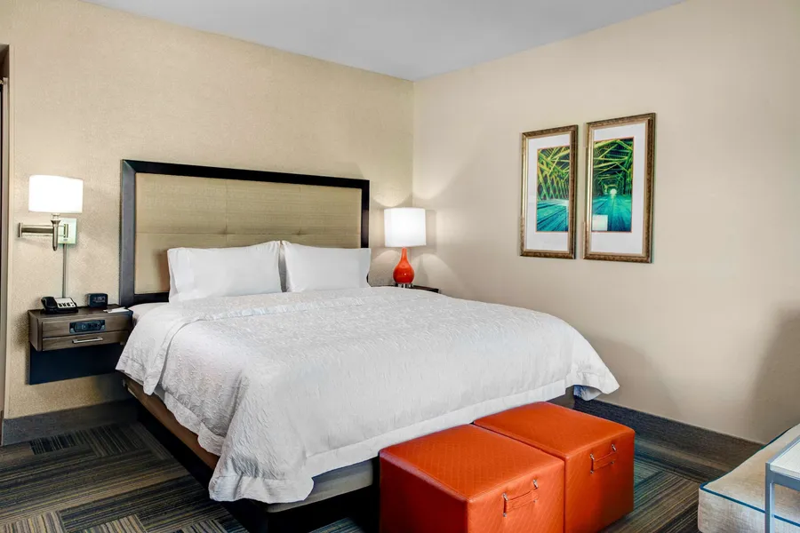 Hampton Inn & Suites by Hilton Atlanta Perimeter Dunwoody hotel detail image 6