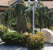 Cheshire Welcome Inn hotel detail image 3