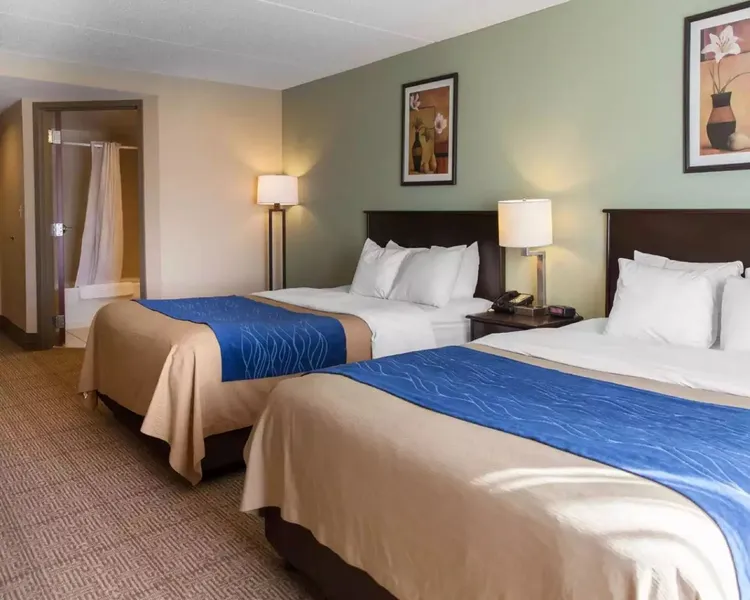 Comfort Inn Near Quantico Main Gate North hotel detail image 2